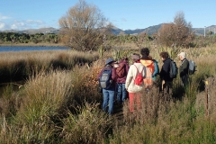 Ngā Puna Wai, Christchurch