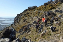 Castle Rock, Port Hills