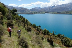 Peak Hill Reserve, Coleridge