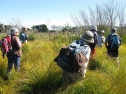 Lakeside Reserve, Waihora/Ellesmere