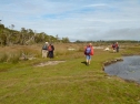 Pounawea tidal flats - The Catlins