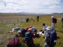 Wairepo wetlands - Mackenzie Basin